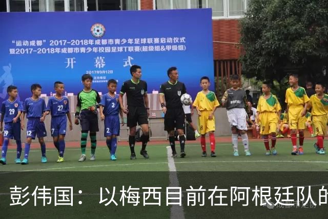 彭伟国：以梅西目前在阿根廷队的地位，很有可能再踢一届世界杯