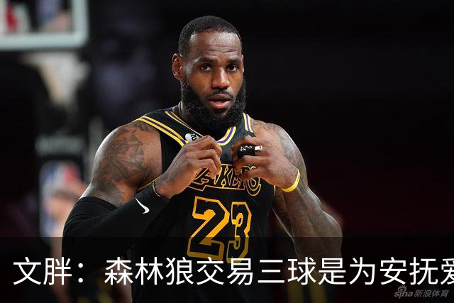 文胖：森林狼交易三球是为安抚爱德华兹 他一赛季被包夹近1000次